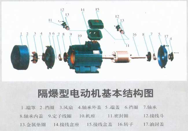 防爆電機(jī)結(jié)構(gòu)圖解及接線實物圖